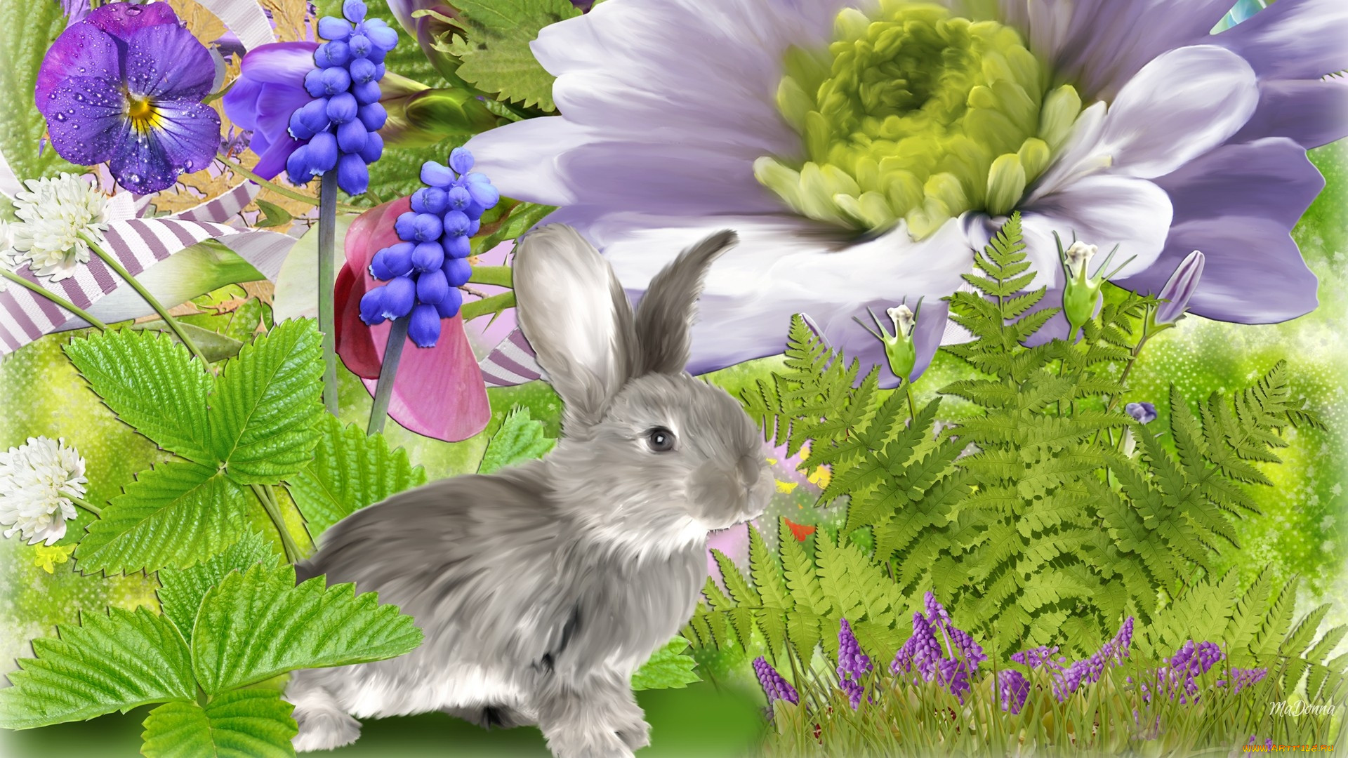  ,  , animals, , 